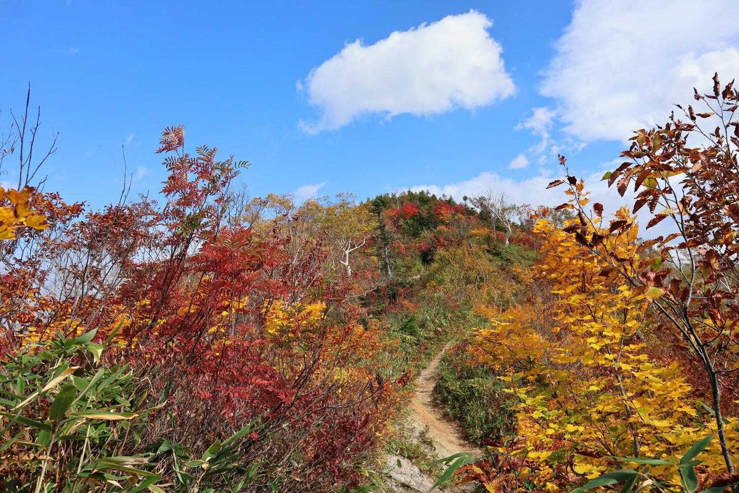 小遠見山へ
