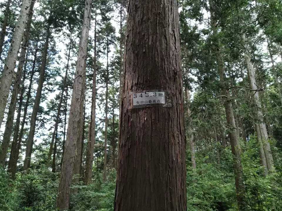 矢田山の写真