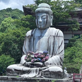紫陽花を抱えた大仏様