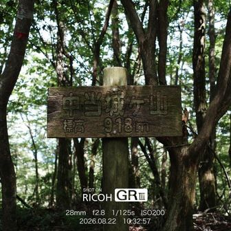 山頂。眺望なし。
まさかの登山者2人組と遭遇で20分ほどお話しさせていただきました。