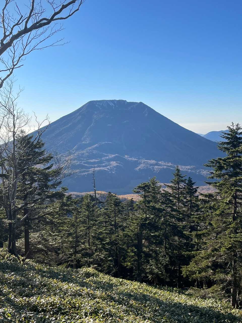 山王帽子山の写真