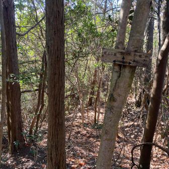 分岐
焼山公園へ