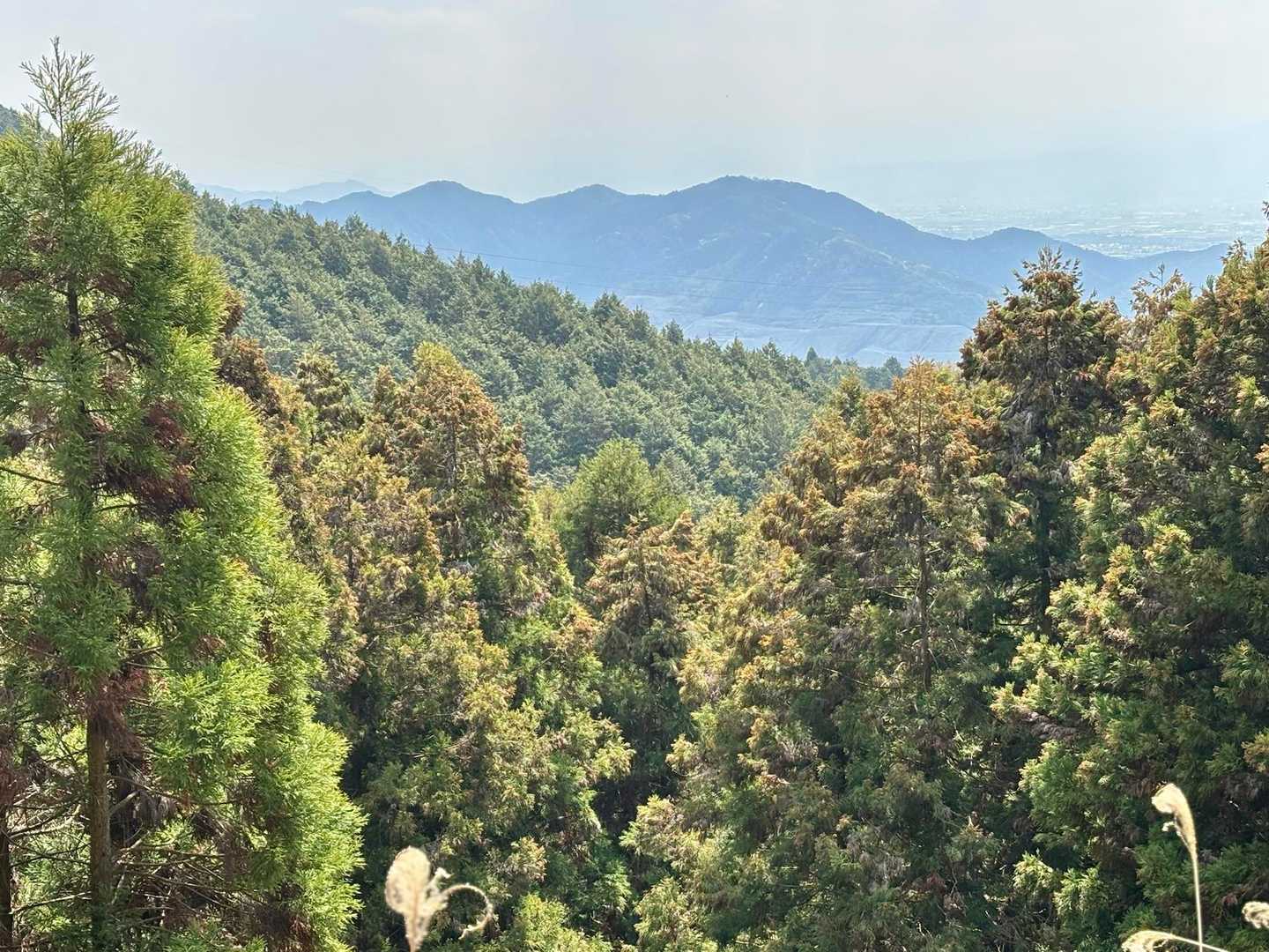 ようやく景色が見えるところにやって来ました👀

奥に見えるのが、先週、登った太平山です⛰️