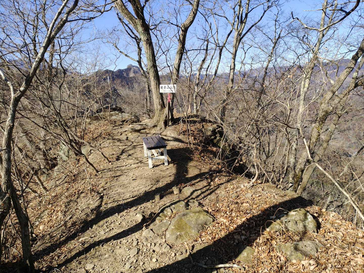 観音山の山頂に到着しました。