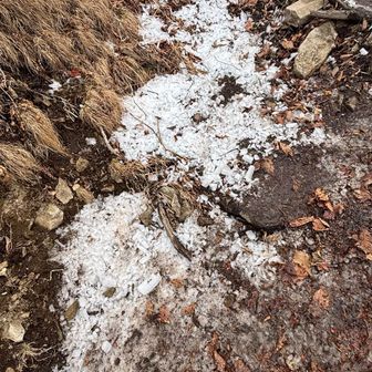 ヒョウが降った後のような感じでした