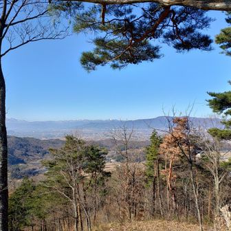 七ツ森が白黒半分に見えている、もはや行ける気がしない。

コチラから見ると七ツ森は枝尾根が開いた地形。

陽の当たる白と陰になる斜面が黒に見えるのだろう。