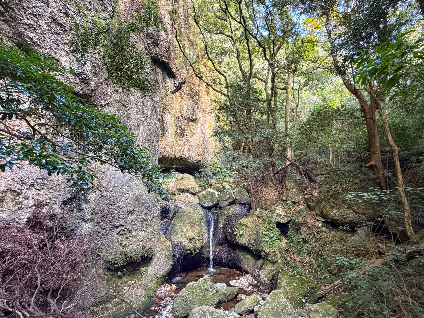 屏風岩まで戻って来ました。
途中からトイレに行きたくなって、仕事がというより本気で急ぐ😂