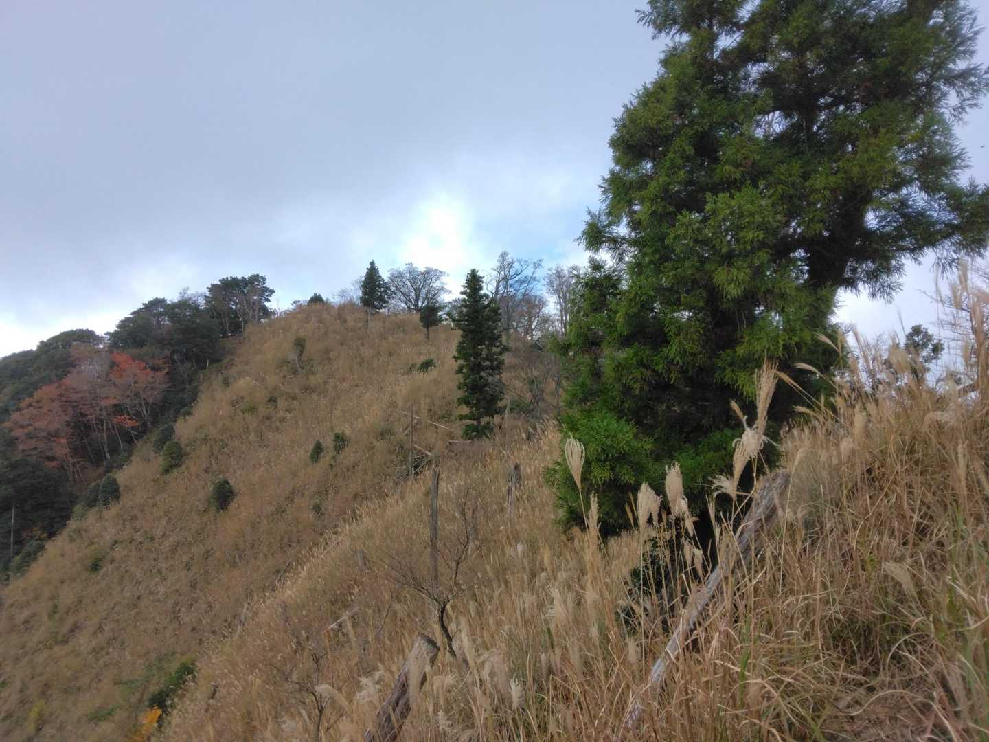 岳滅鬼山へ