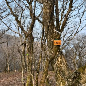 ⛰️多志田山
累計ピーク2／21座目