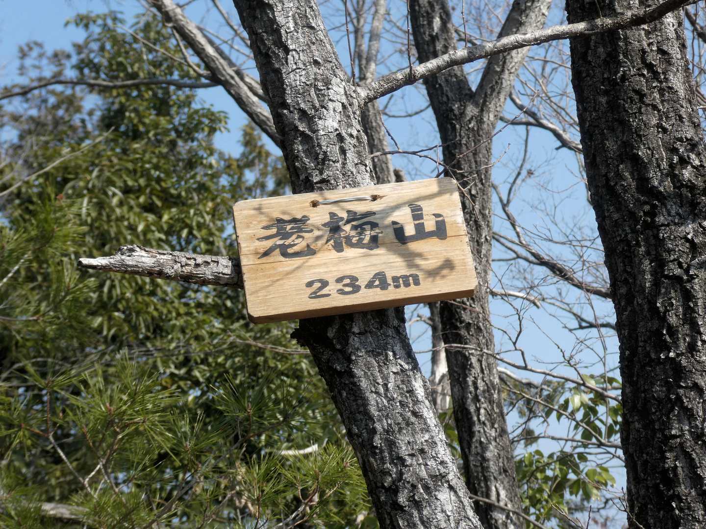 老梅山に（２３４ｍ）到着