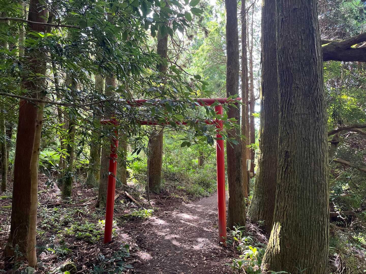 今月から登山⛰️再開♡紅葉🍁シーズンが待ち遠しい😁ですね