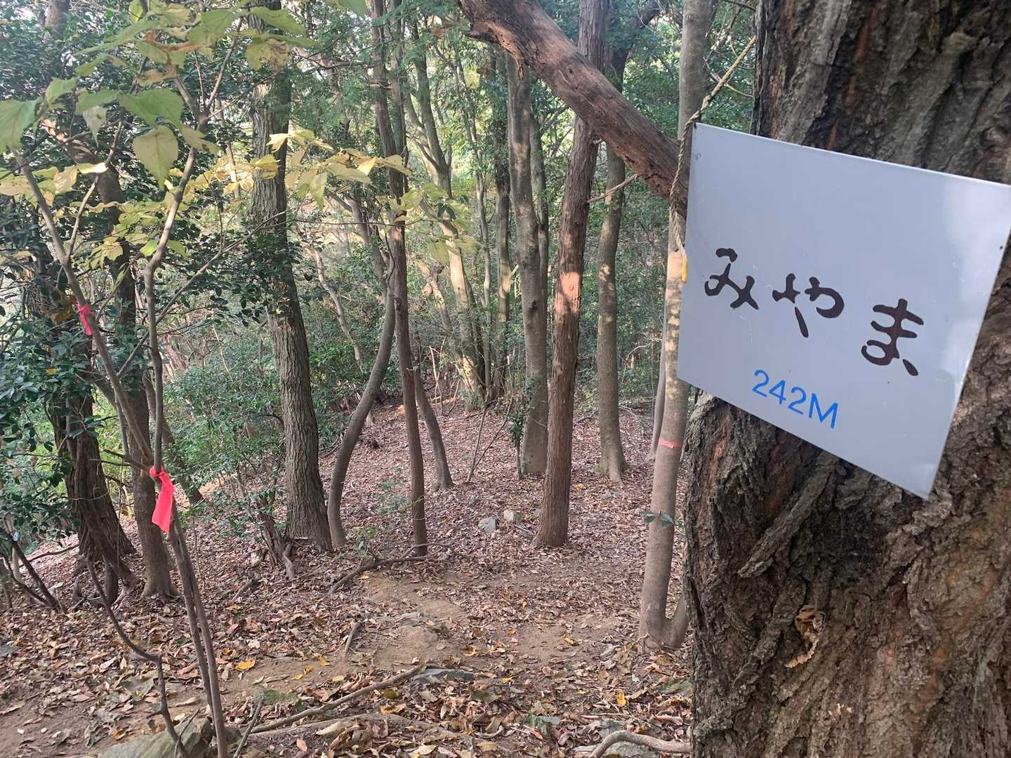 清水寺-清水山-清水山-永興寺 周回コースの写真