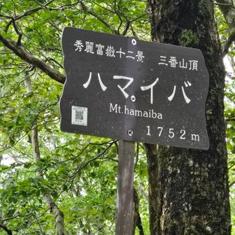 秀麗富嶽十二景　三番山頂
ハマイバ登頂
標高　　1752m