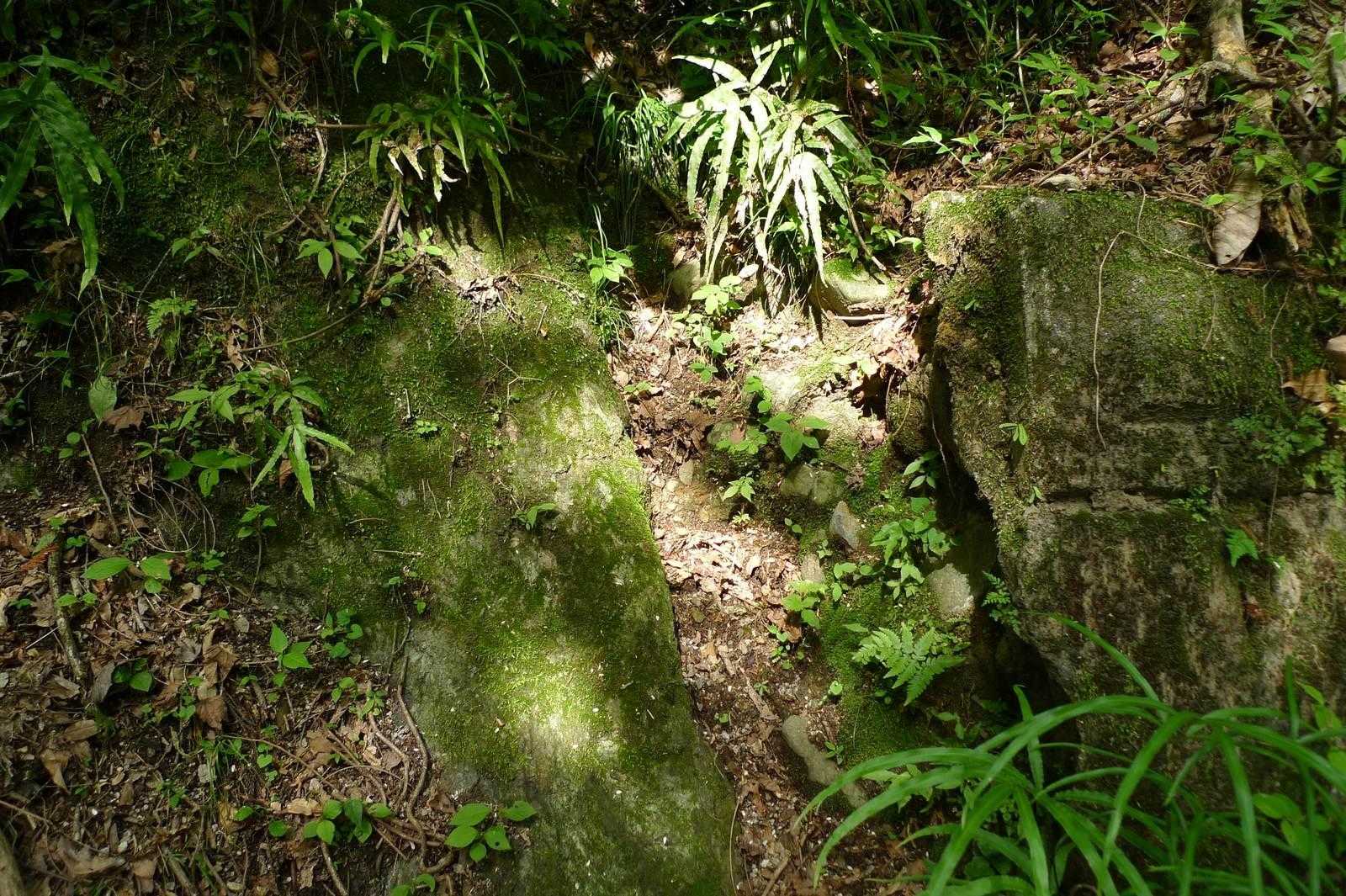 神縄断層
右側の礫層が伊豆半島、左側の岩盤が本州