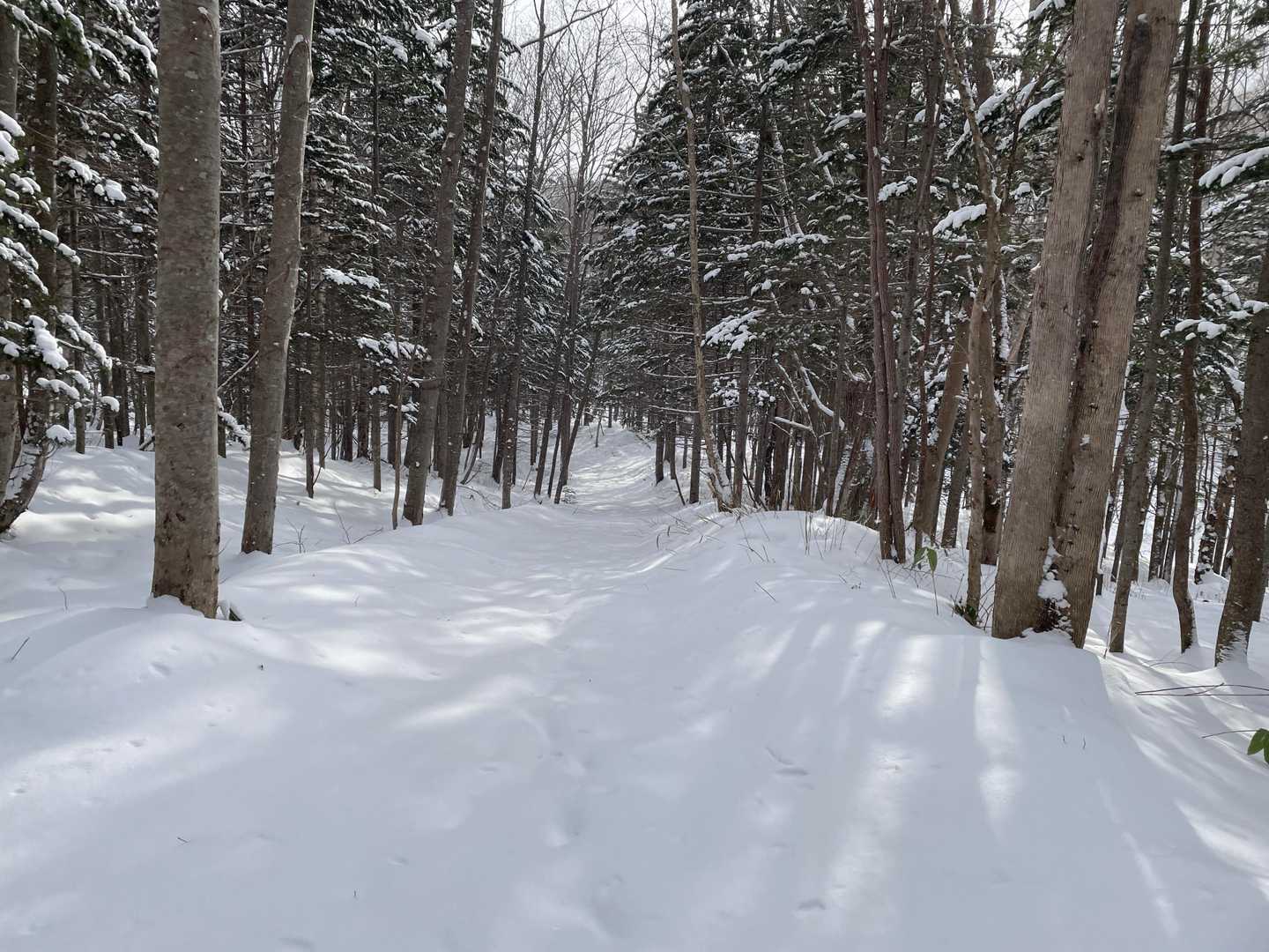 ふかふかの雪道が続きます