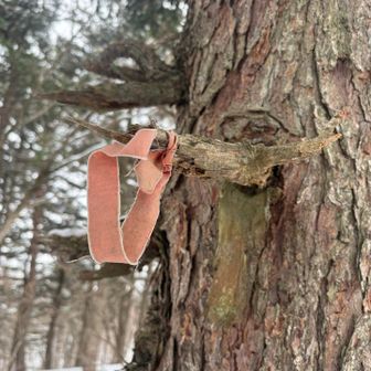 三角点この下？