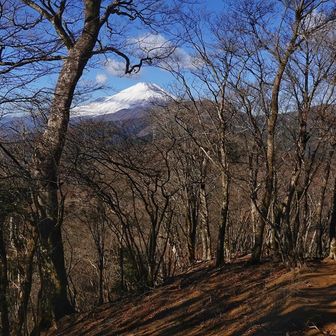 湯船山△の後は気持ち良い富士見下り🎶