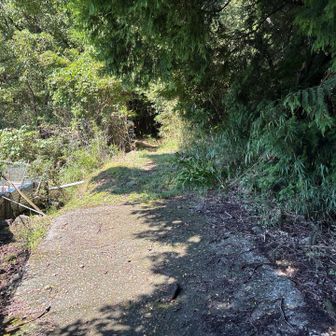 ここが登山口