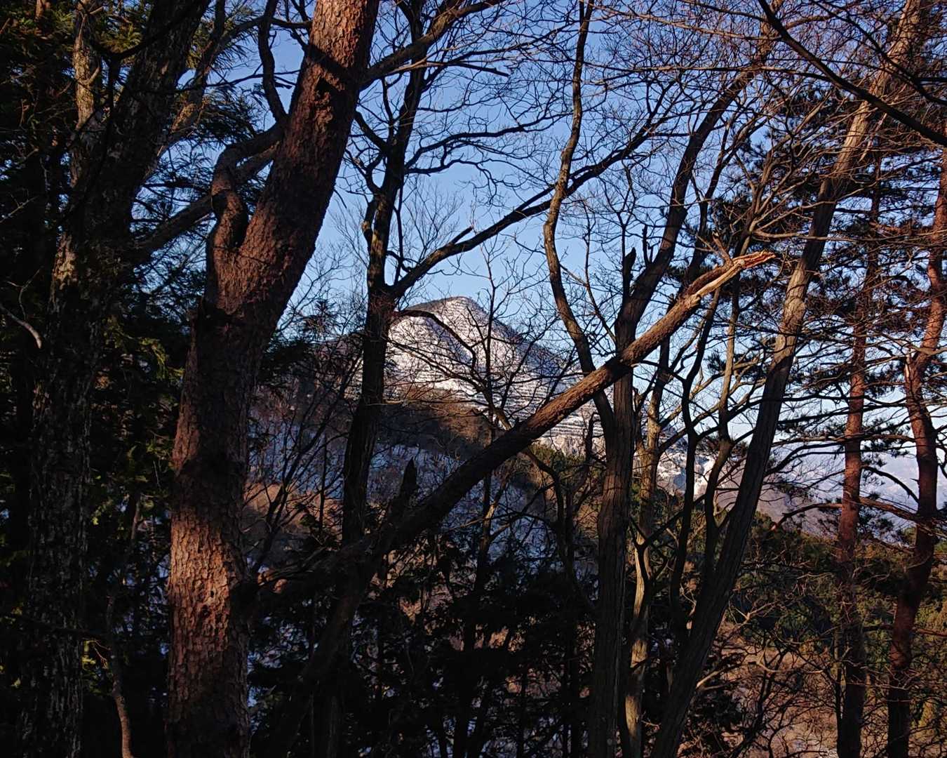 元に戻って二子山へ🚶見えてきました👀木々の隙間からピラミッド