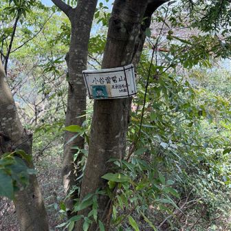 これが最後の山、小谷雷電山⛰️