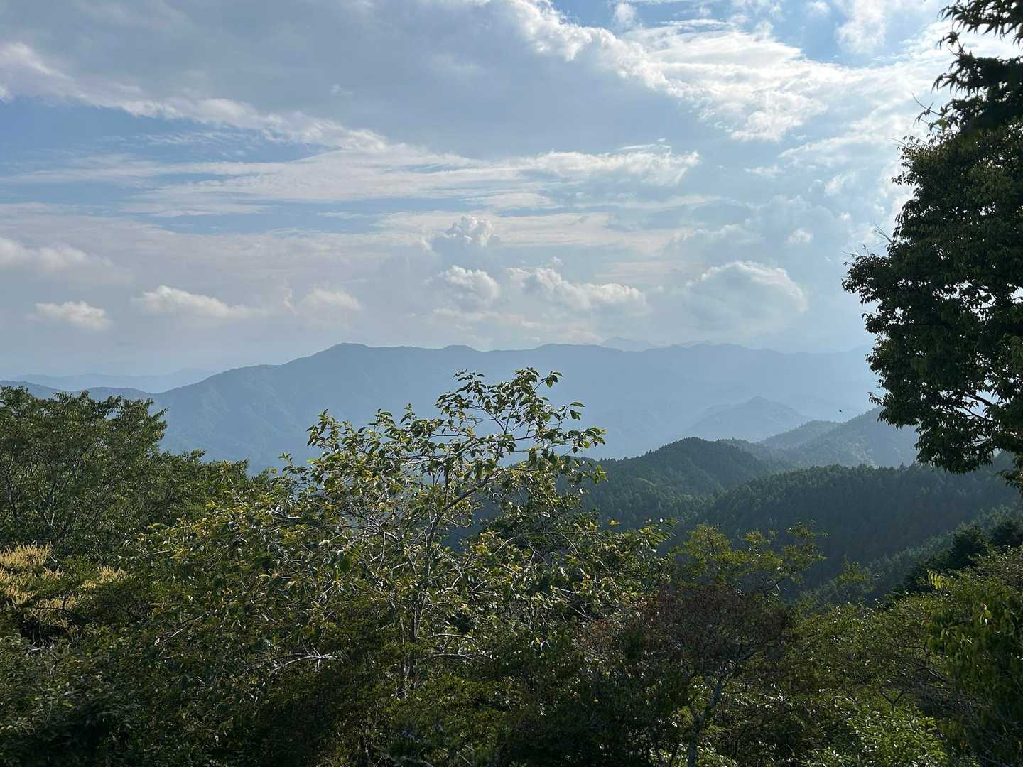 山頂眺め✨