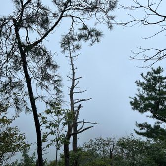雨でガッスガス☔