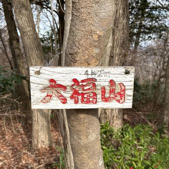 大福山⛰️