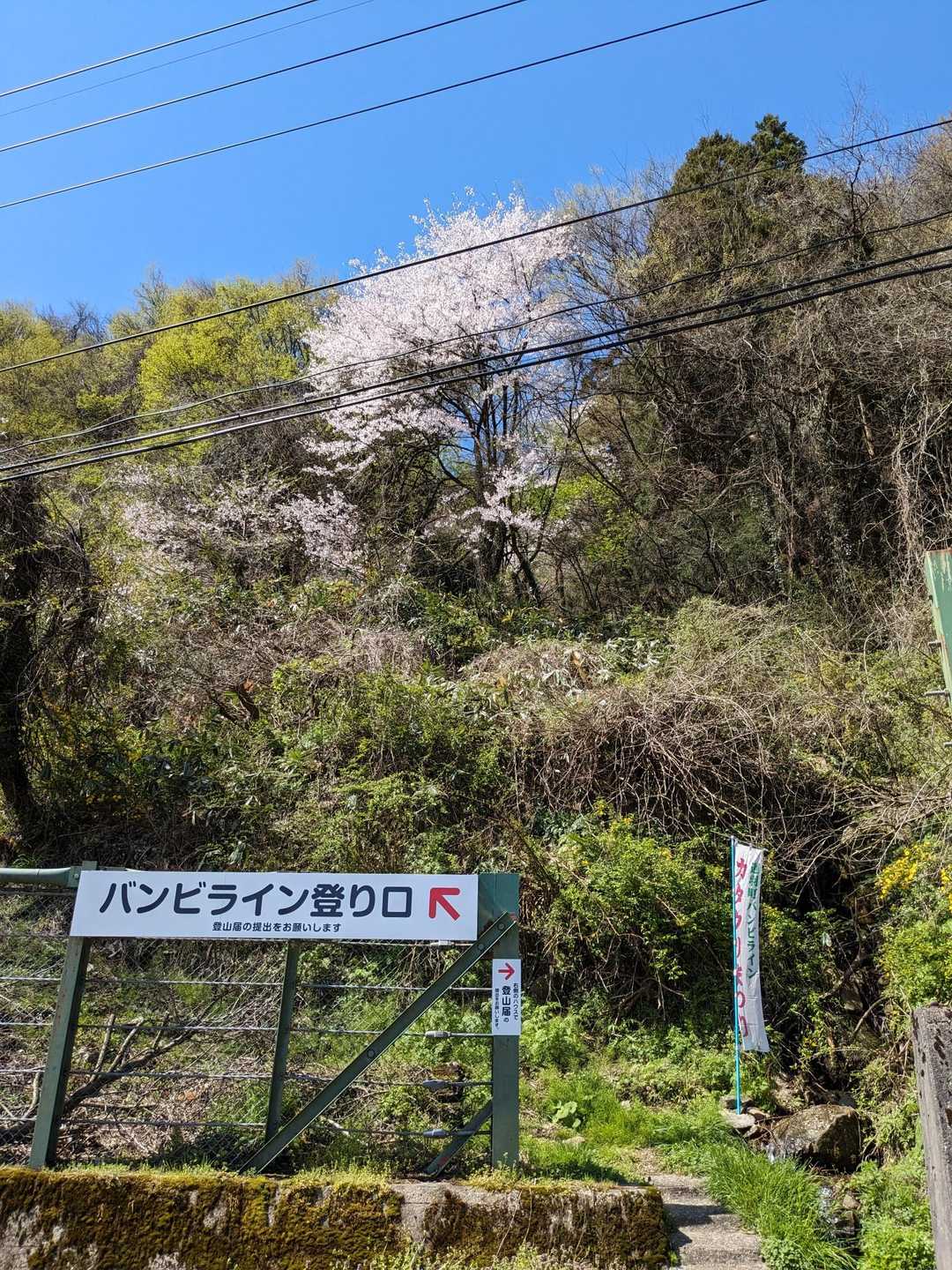 カワイイ名前の登山口💕