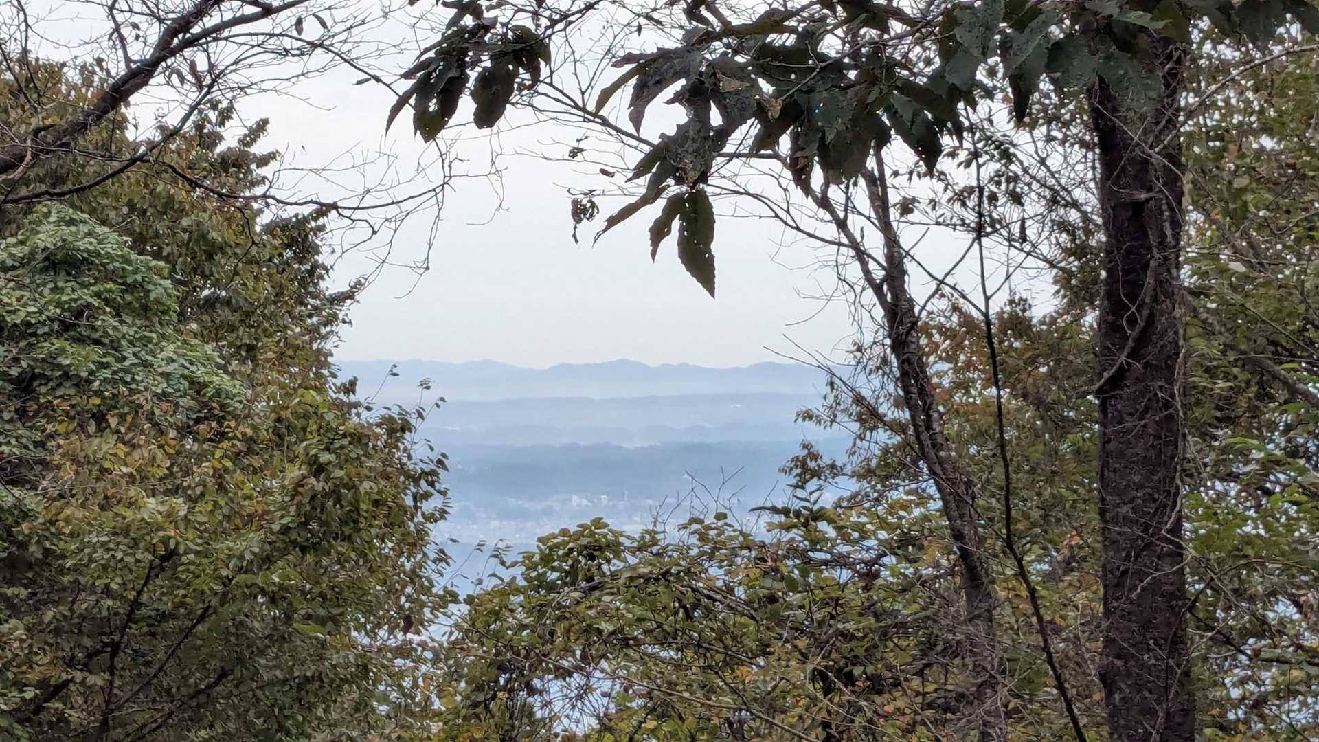 真弓山 往復コースの写真