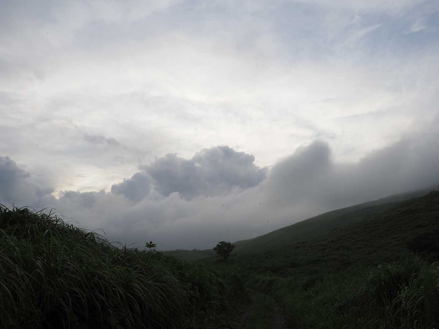 雲…
ヤバい？