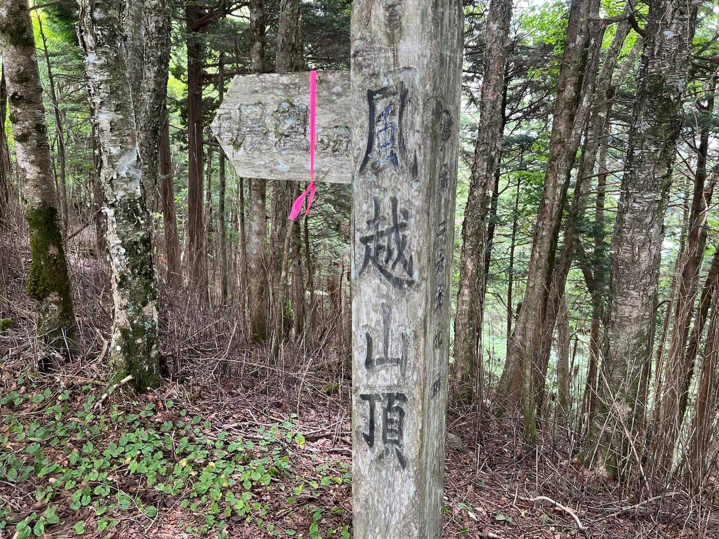 風越山山頂到着〜⛰️
眺望無し
中央アルプス展望所へ