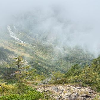 天狗の庭👺から
山側をパシャリ📸