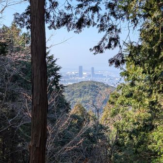 香椎照葉のタワーマンションが見えます