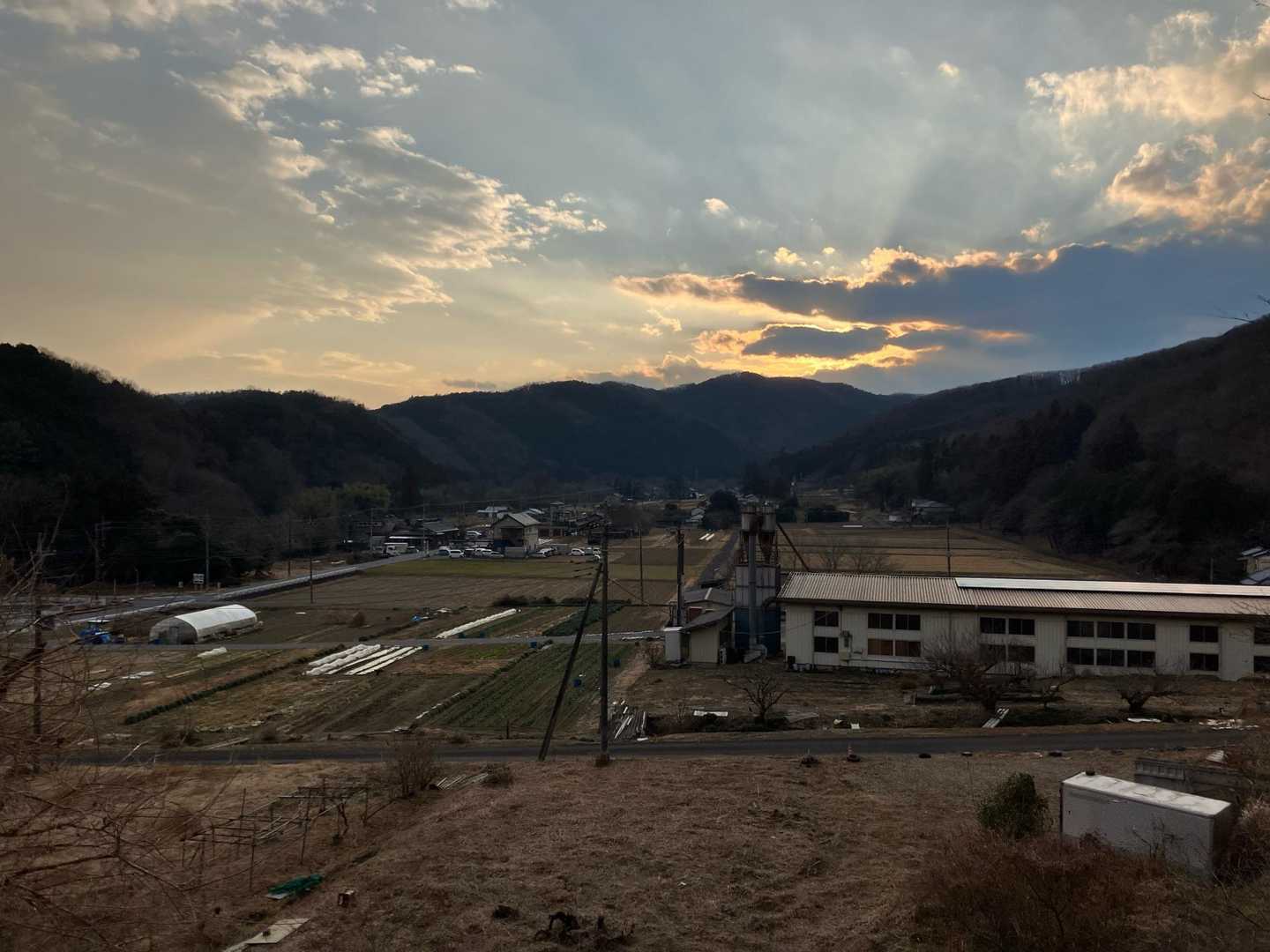 大平山 周回コースの写真