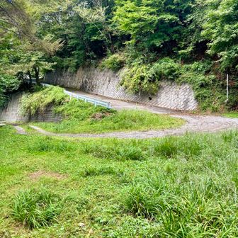 鶴ヶ峰へ向かう
登山道から林道へ