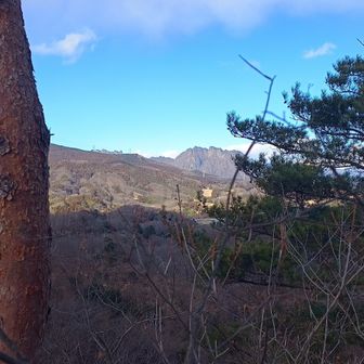 途中の尾根から妙義山チラリ