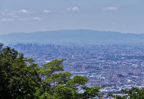 タタラ山（大阪・378m）| 登山ルート・天気 | YAMAP / ヤマップ