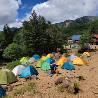 フリーハイカー