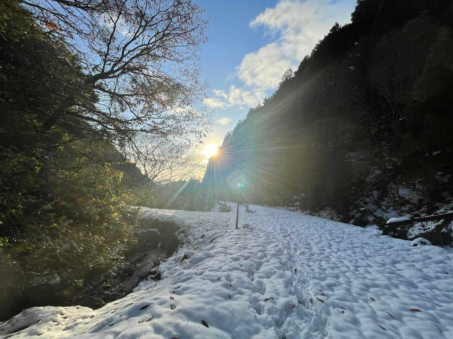 ❄️いっぱい