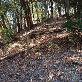 盆前山山頂へのアプローチ