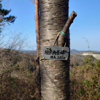 根来両景峰 
スタートからここまで1時間👍🏻 ̖́-
グレーピークだと思ってたけど
ちゃんとピークだった

バリルートから登頂したので
休憩中のグループさんを
驚かせてしまい
すみませんでしたm(_ _)m