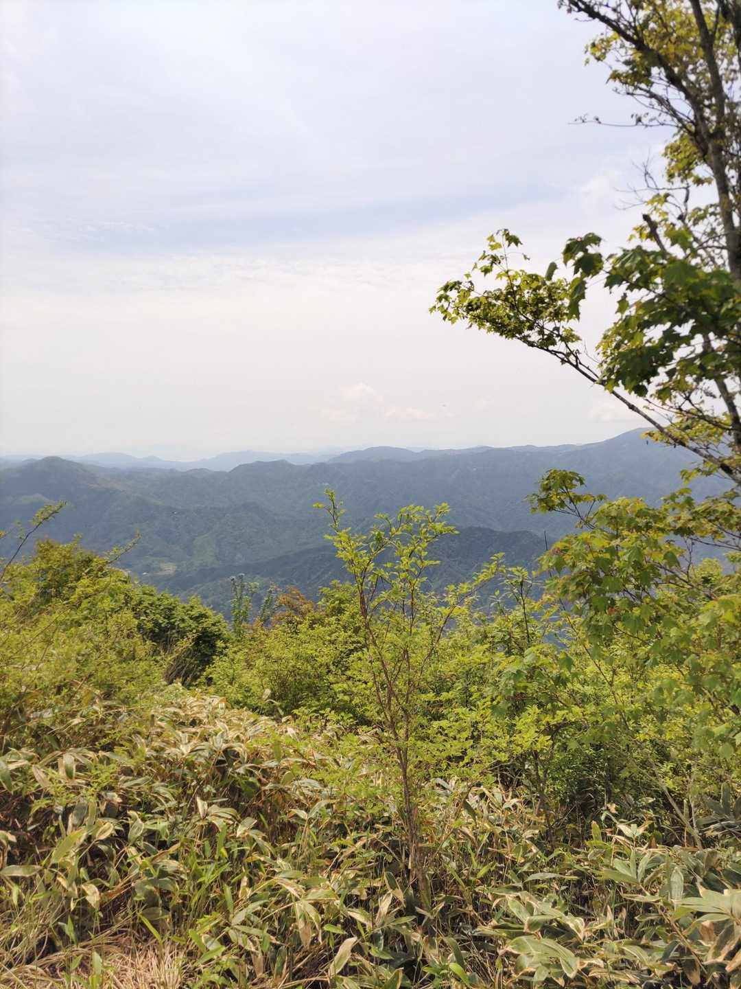 向峠バス停-小五郎山 周回コースの写真