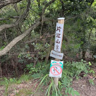 片江山

すでに15km近く歩いてて
初心者コース🔰ではない！
でも2人はちょうど良かったみたい😌

鬼って言われなくて良かった👹

楽しんでもらえて良かったです👏