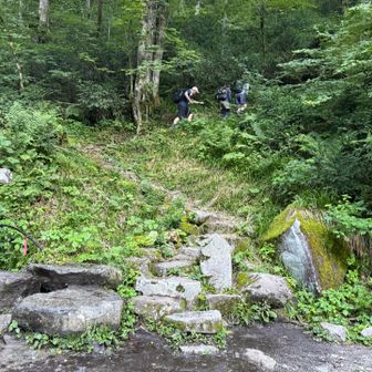 笠新道の登山口