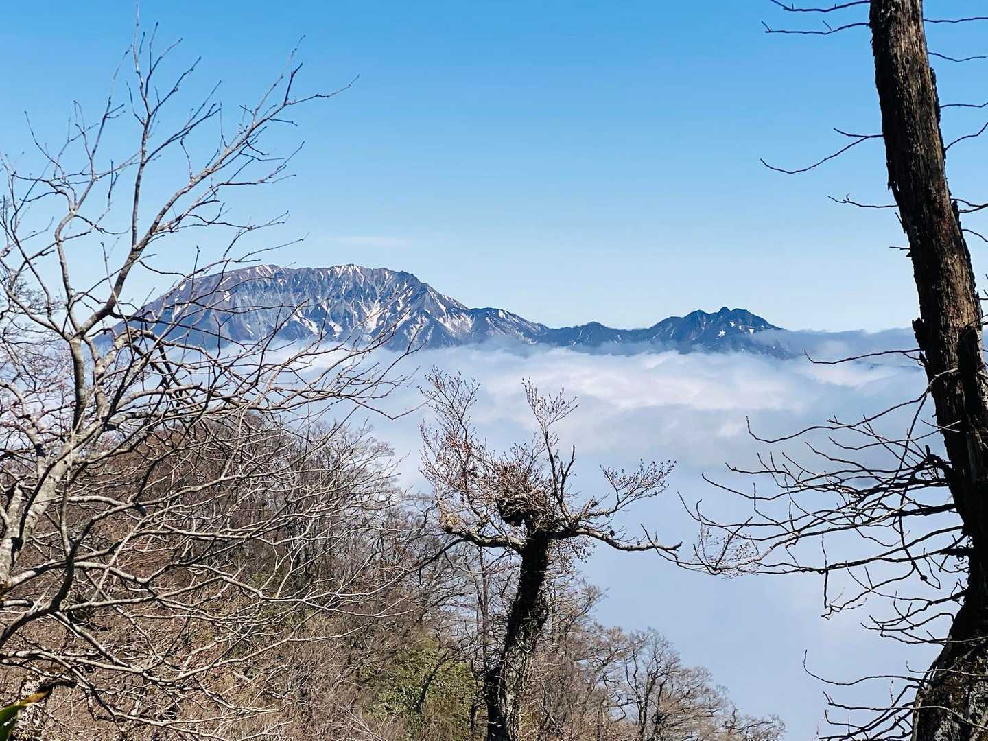 じゃーん‼️雲海＋大山、烏ヶ山。