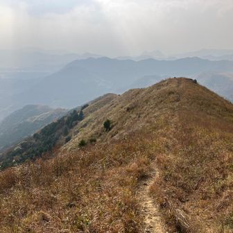 ところどころ生ぬるい空気の層にぬるっと突入するスポットがあり。
ホットスポットなんだろうか、暖かさが生々しくて少し不気味。