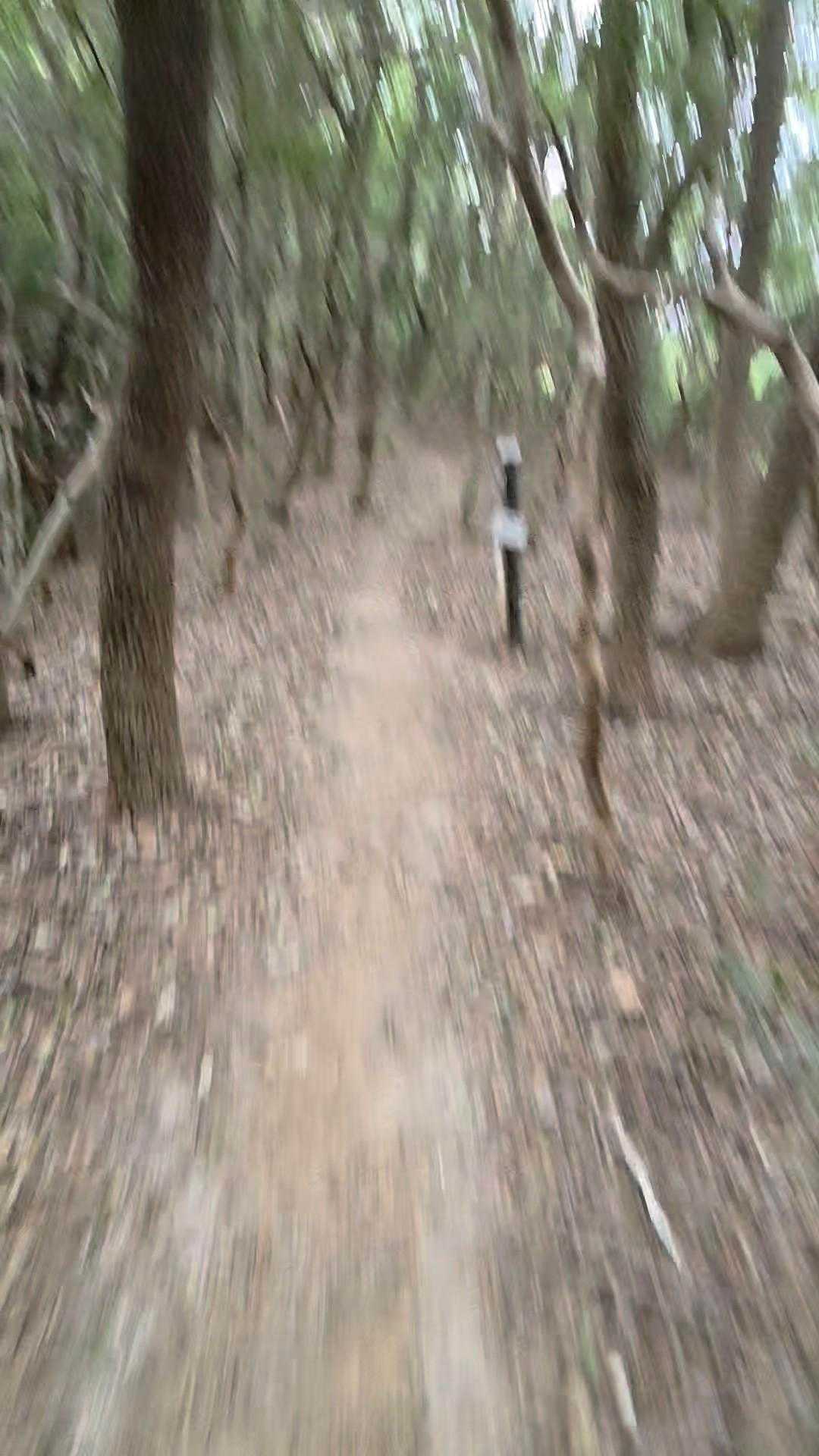 走れるところは走る