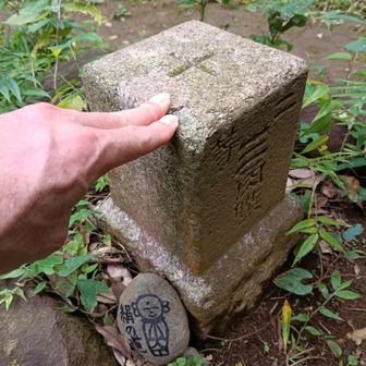 三座目、大塚山山頂到着～♪

点名: 道了
標高: 213.52 m
種別: 二等三角点

二等だ！（ちょい嬉）