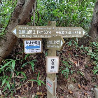 伏見峠から念仏坂で下山します。