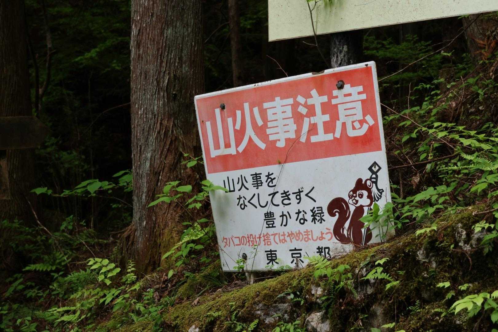 🐿️